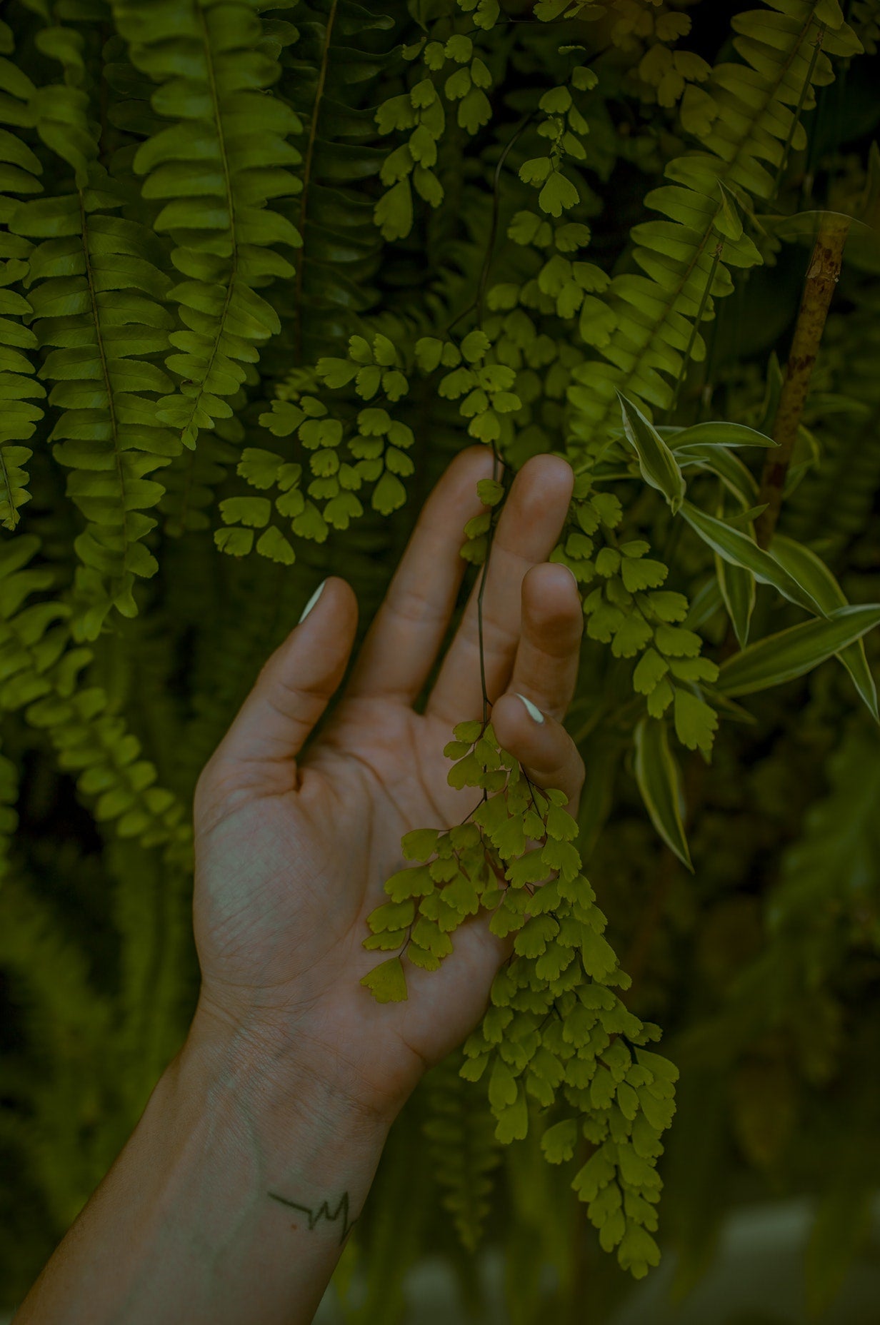 A Hand and Foot Treatment