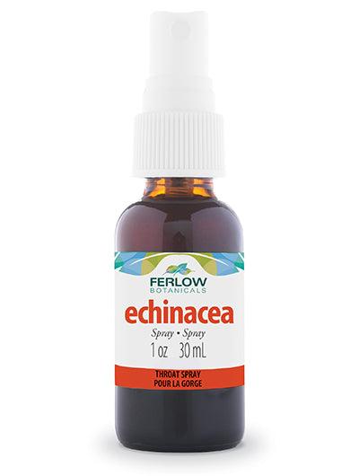 Echinacea Throat Spray 30ml (1oz)